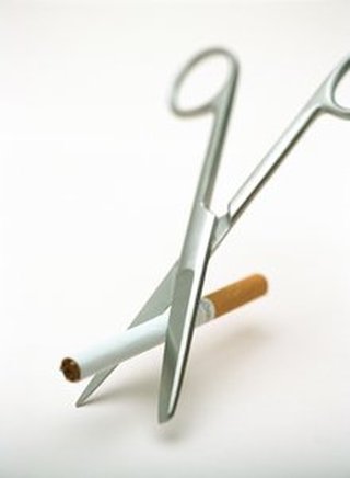 使用技巧：如何利用科普自然知识改善花园生态